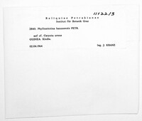Image Associated With the Occurrence